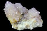 Cactus Quartz (Amethyst) Crystal Cluster - South Africa #180722-1